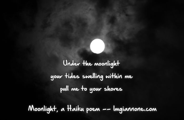 haiku-moonlight